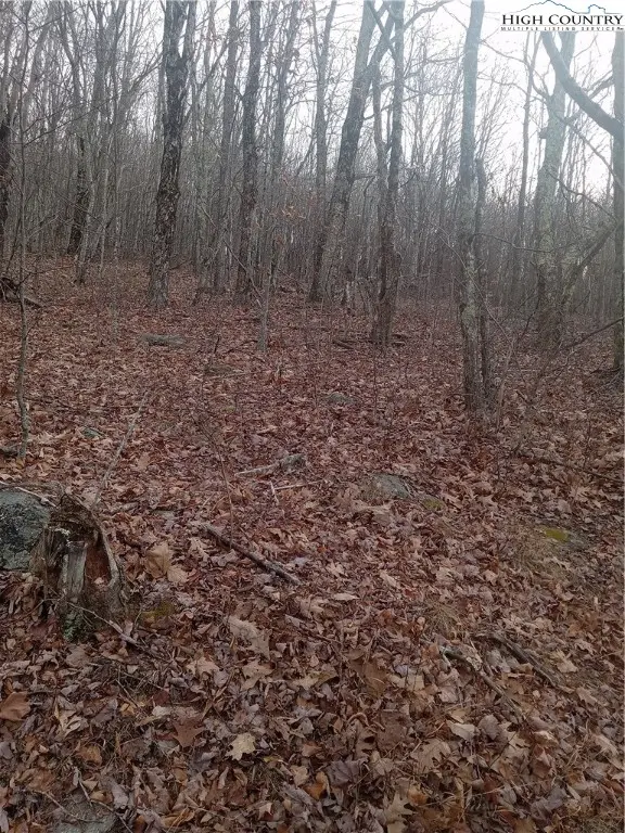 tbd Middle Fork Lane, Whitetop, VA 24292 - Image #1