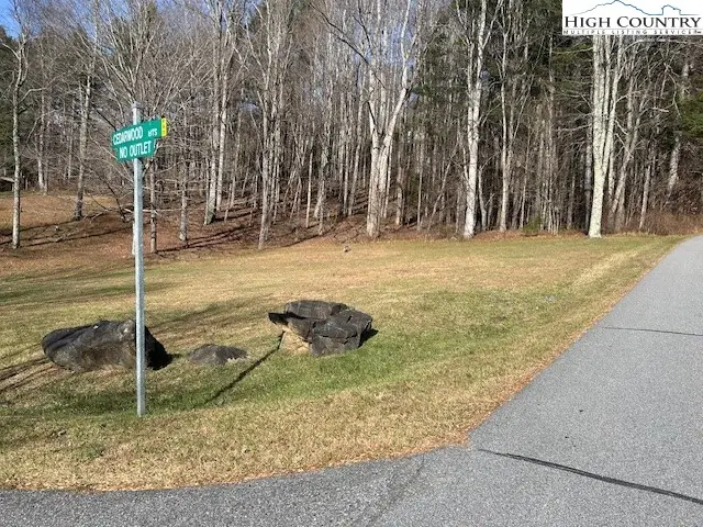 TBD Pineview Drive, Boone, NC 28607 - Image #3