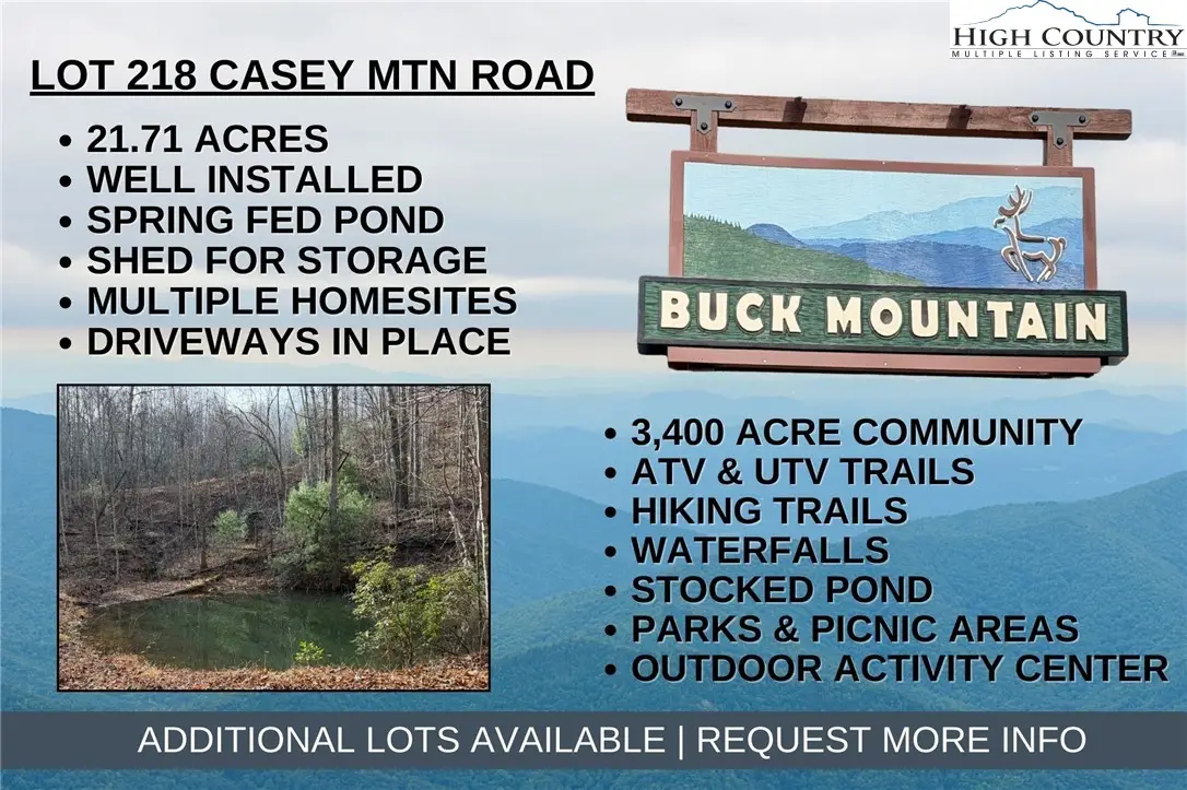 Lot 218 Casey Mountain Road, Purlear, NC 28665 - Image #1