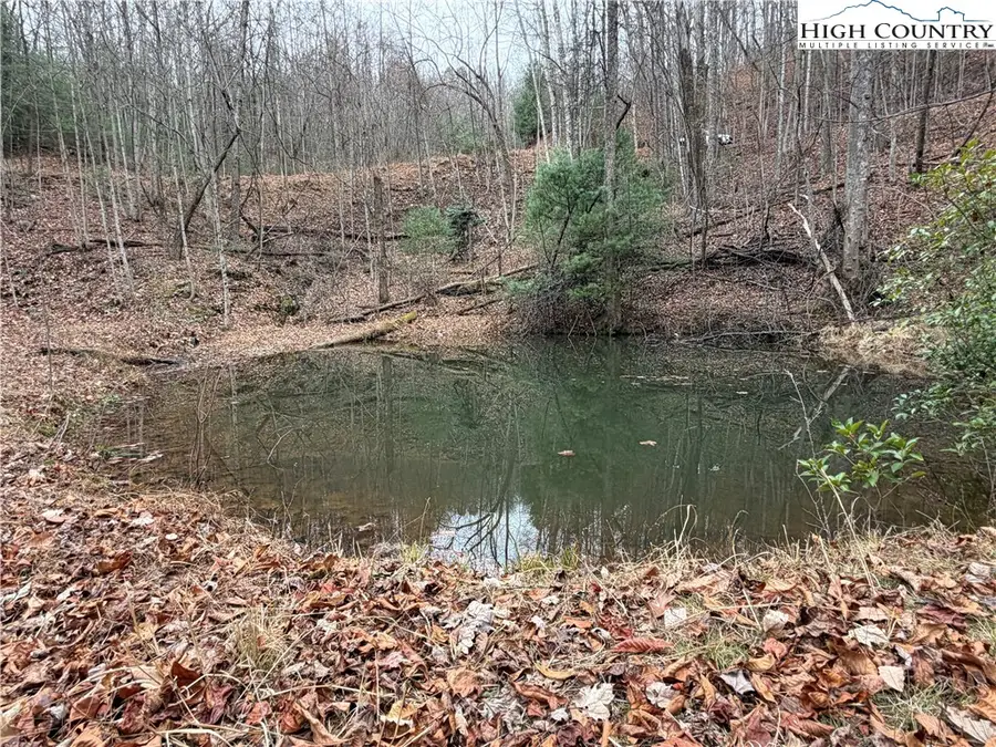 Lot 218 Casey Mountain Road, Purlear, NC 28665 - Image #2