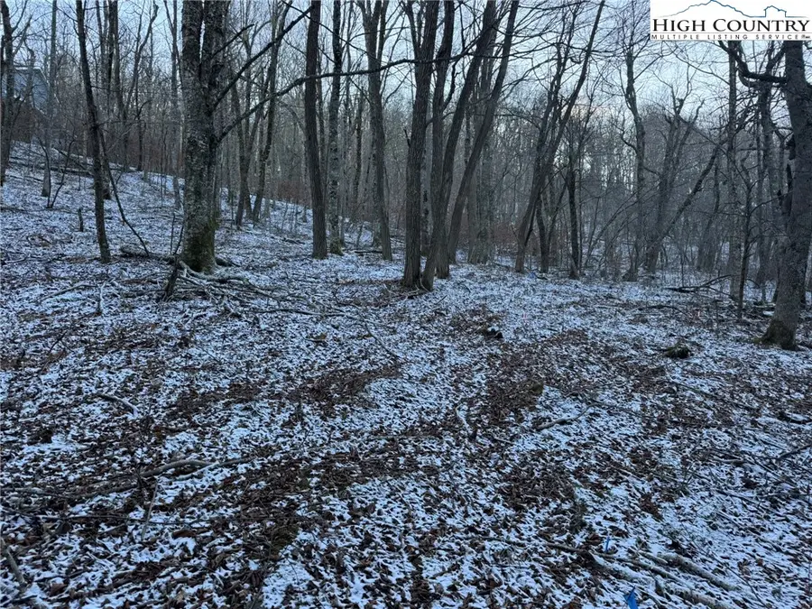 TBD Woodland Springs Road, Boone, NC 28607 - Image #3