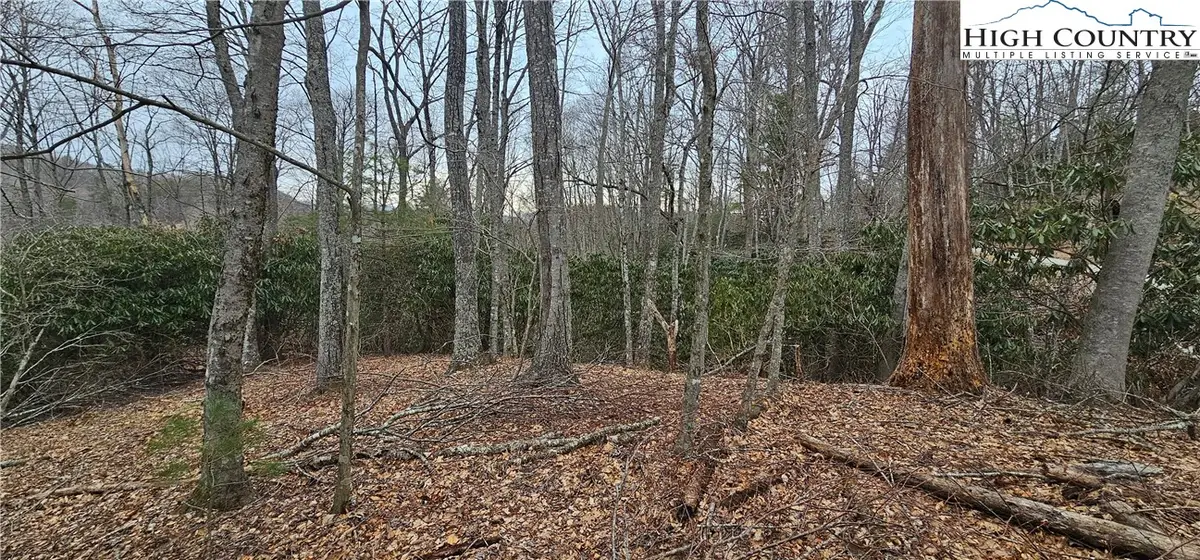 Lot 3 Raven Rock Drive, Boone, NC 28607 - Image #1