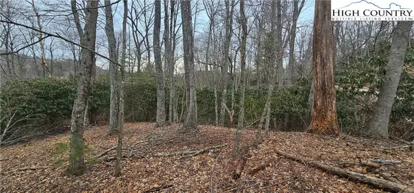 Lot 3 Raven Rock Drive, Boone, NC 28607