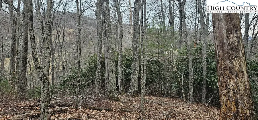 Lot 3 Raven Rock Drive, Boone, NC 28607 - Image #3