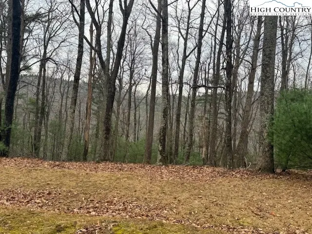 TBD Jobs Road, Union, NC 28651 - Image #2