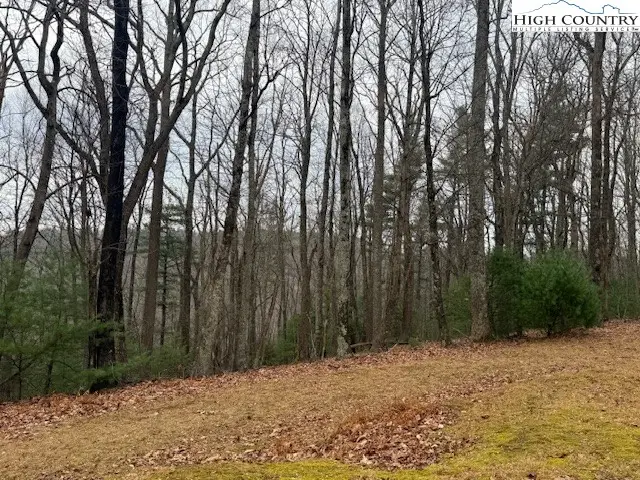 TBD Jobs Road, Union, NC 28651 - Image #3