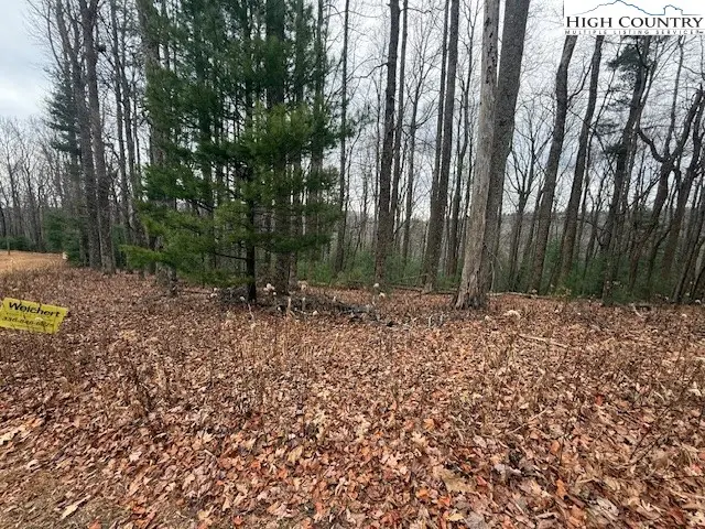 TBD Jobs Road, Laurel Springs, NC 28644 - Image #2