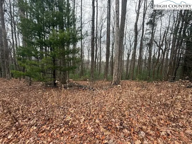 TBD Jobs Road, Laurel Springs, NC 28644 - Image #3