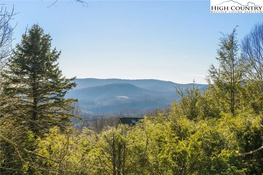 466 Dayspring Drive, Boone, NC 28607 - Image #3