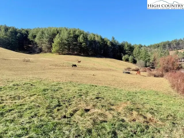 TBD (14.53 +/- Acres) Hartzog Ford Road, West Jefferson, NC 28694 - Image #3