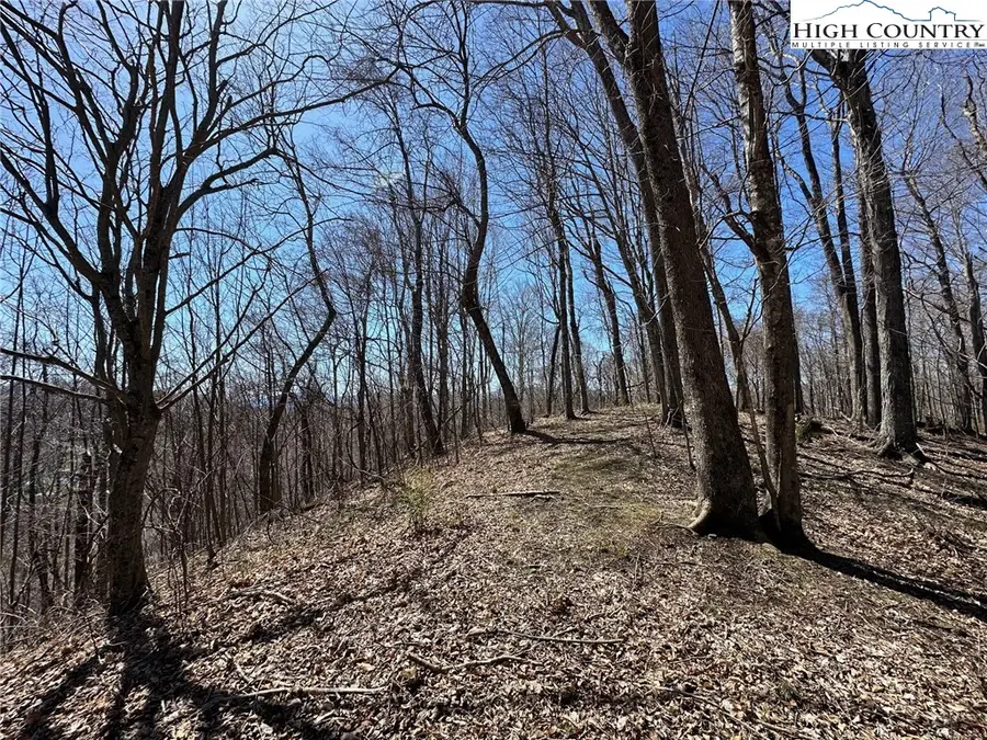 Lots # 10-11-12 Yasmine Lane, Vilas, NC 28692 - Image #3