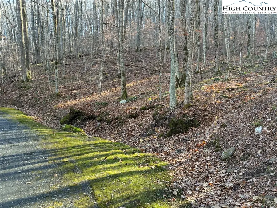 TBD Wolfsbane Trail, Todd, NC 28684 - Image #2