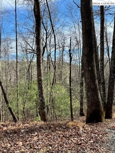 TBD Doe Valley Lane, Deep Gap, NC 28618 - Image #1