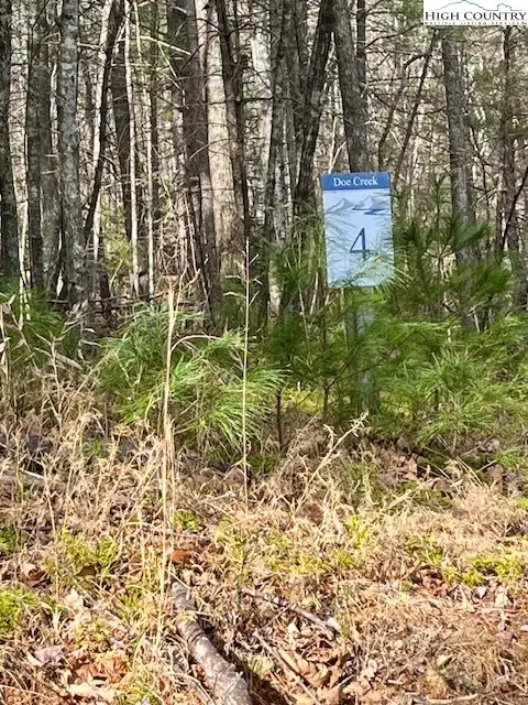 TBD Doe Valley Lane, Deep Gap, NC 28618 - Image #3