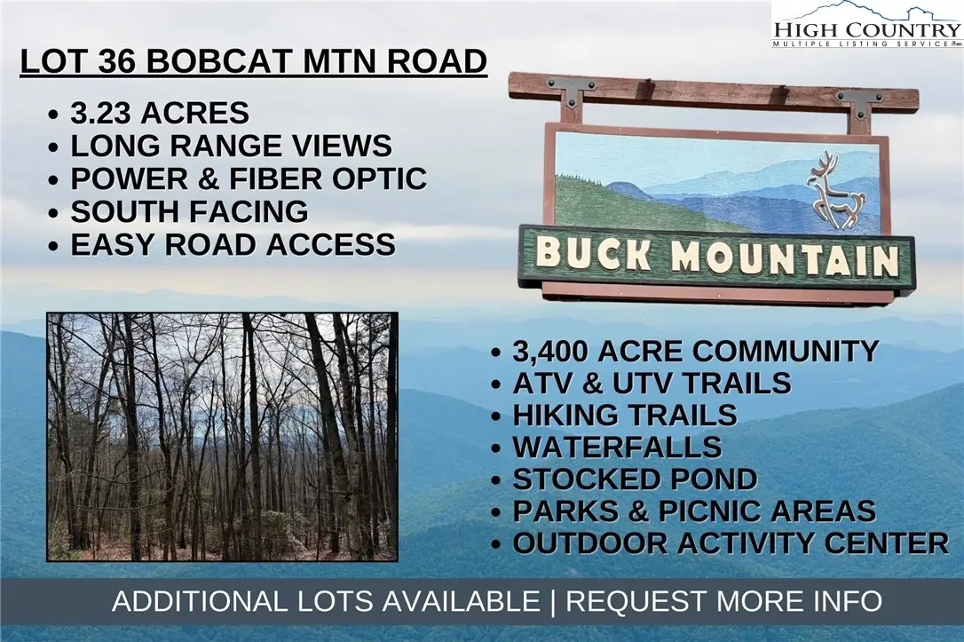 Lot 36 Bobcat Mountain Road, Purlear, NC 28665 - #1