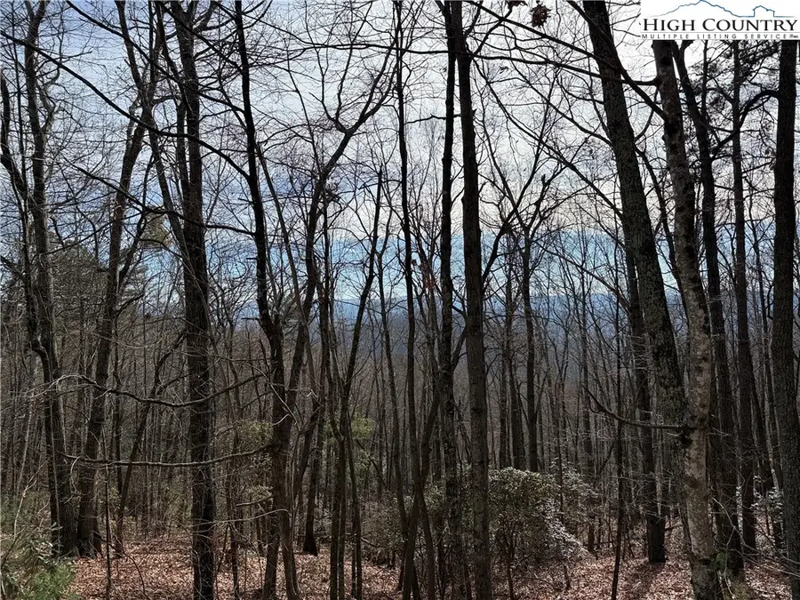 Lot 36 Bobcat Mountain Road, Purlear, NC 28665 - #2