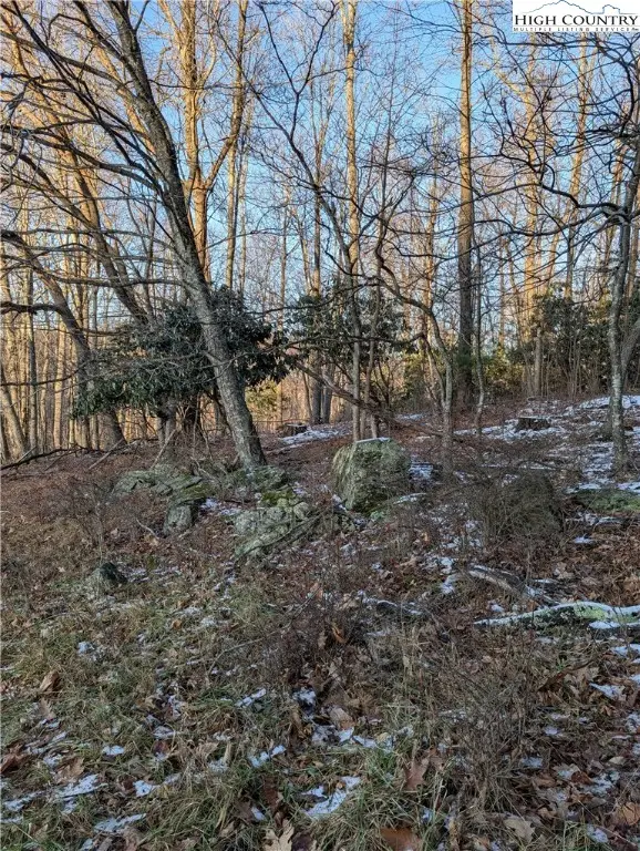 TBD Bledsoe Creek Road, Sparta, NC 28675 - Image #3