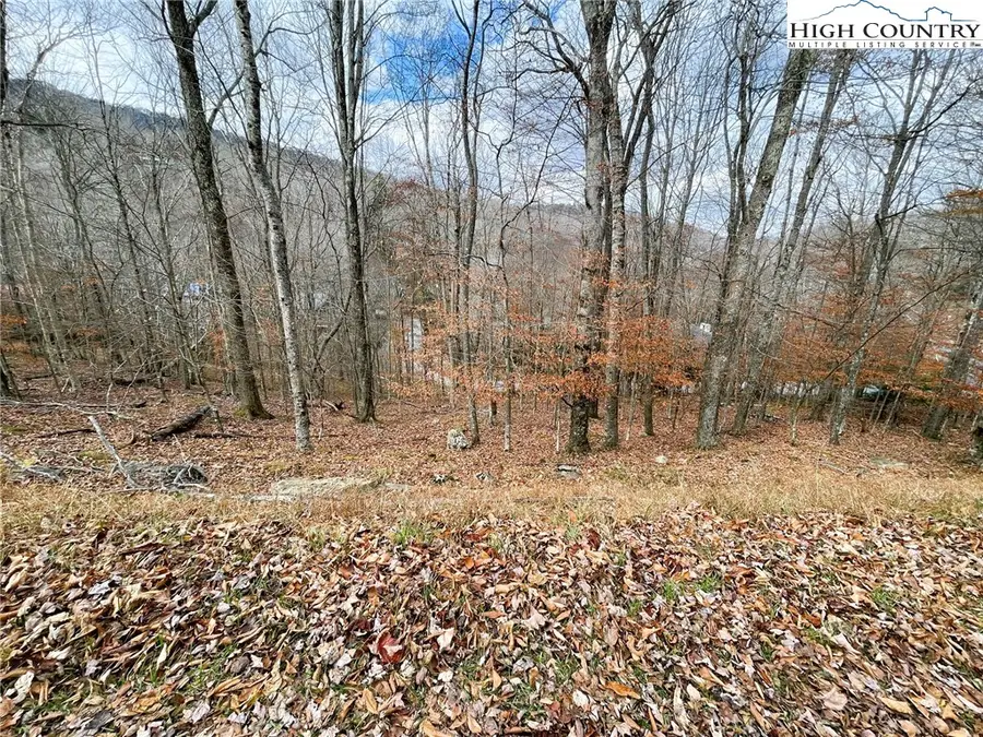 121 Shagbark Road, Beech Mountain, NC 28604 - Image #2