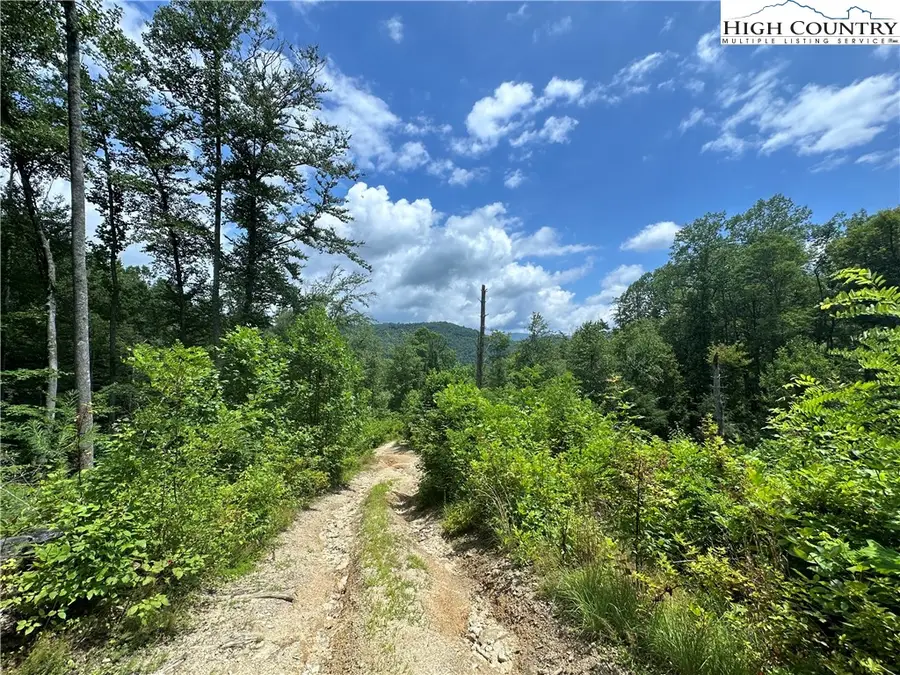 TBD Nc Highway 194 S, Sugar Grove, NC 28679 - #2
