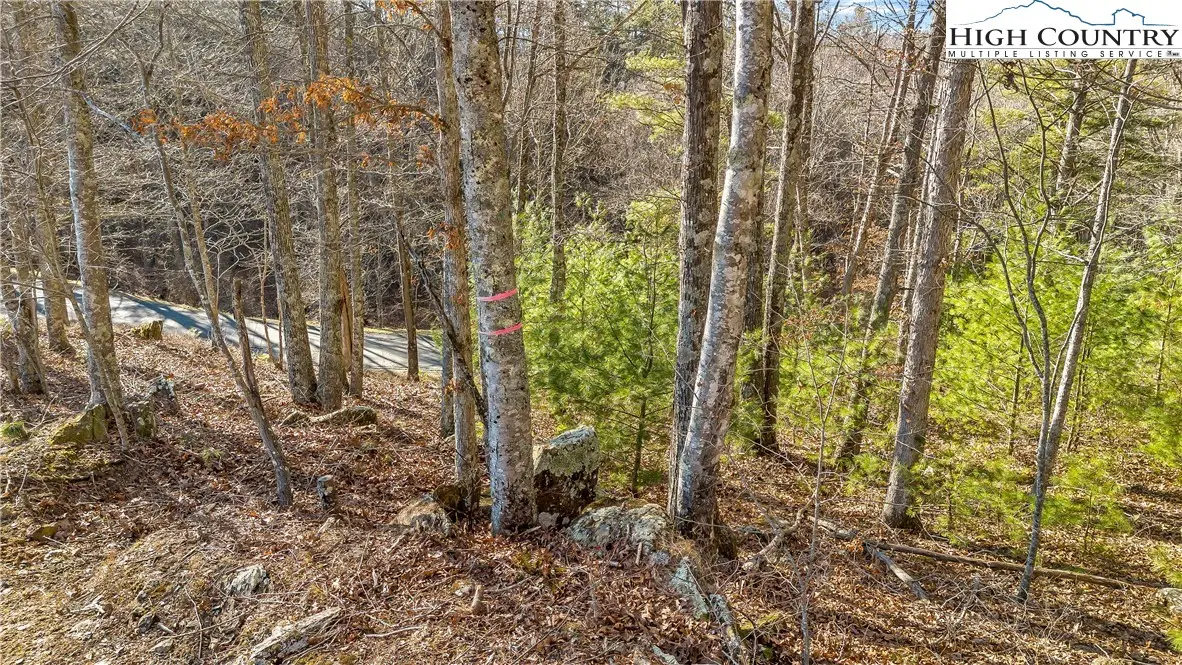 TBD River Stone Drive, Laurel Springs, NC 28644 - #1