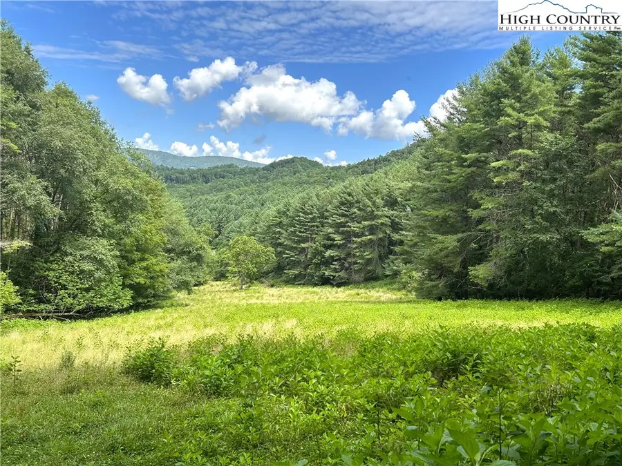 226 Loves Knob Road, Sugar Grove, NC 28679 - #3