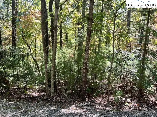 8 Laurel Road, Purlear, NC 28665