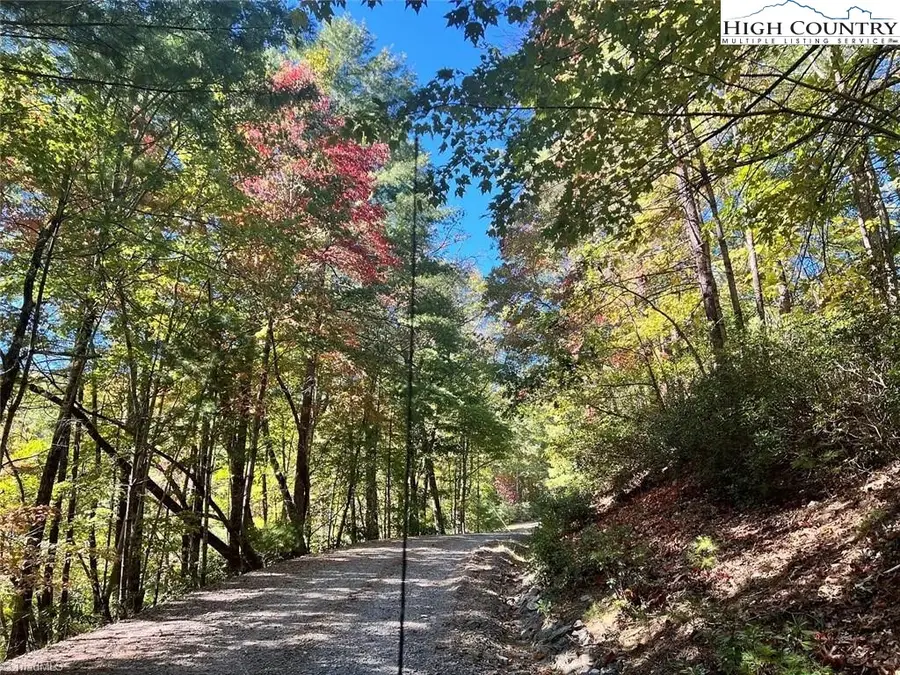 8 Laurel Road, Purlear, NC 28665 - #2
