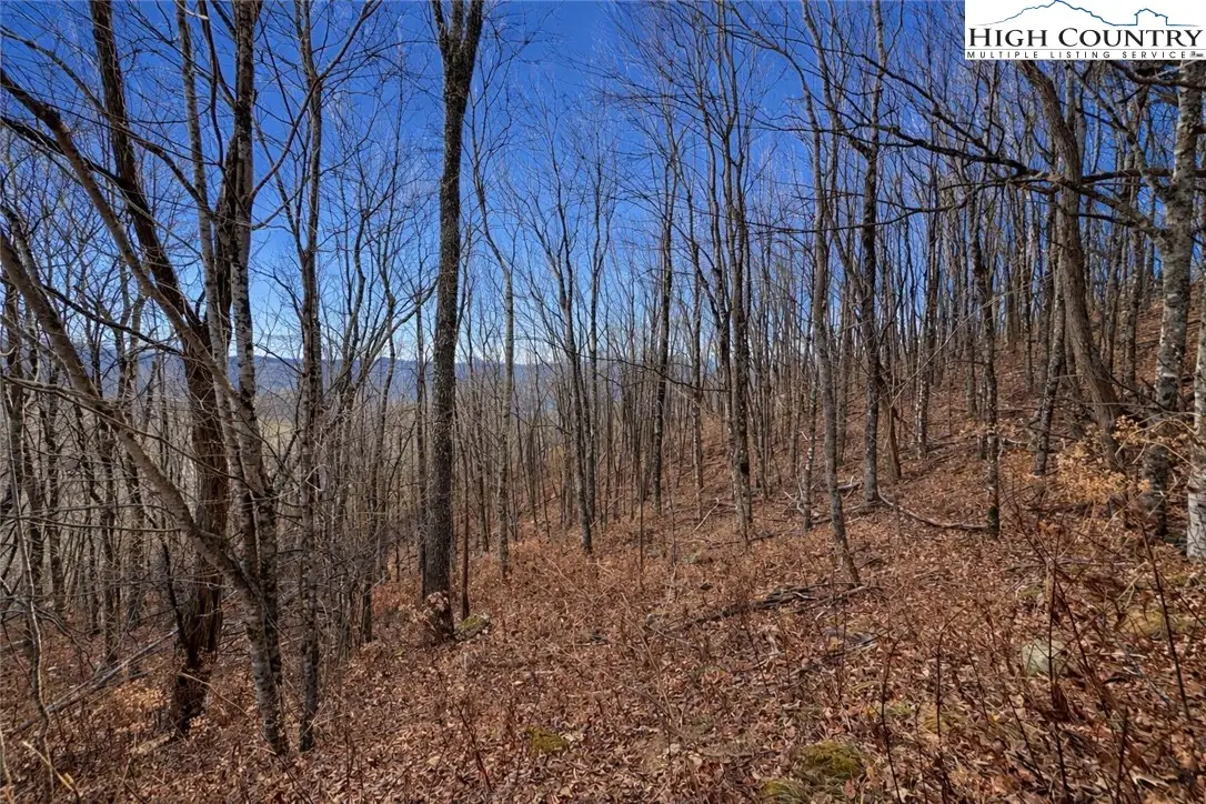 TBD Wakeman Way, Banner Elk, NC 28604 - Image #1