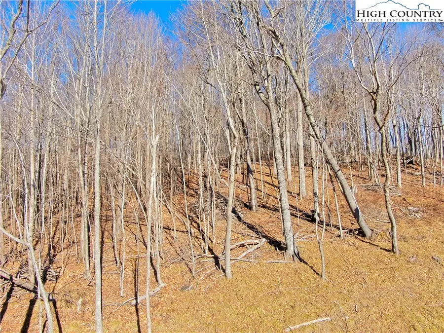 TBD Poplar Forest Drive, Boone, NC 28607 - Image #2