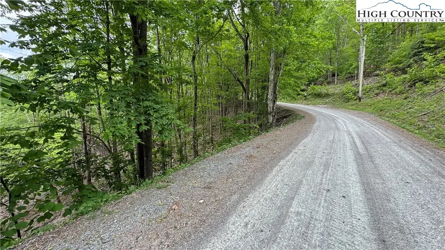 206 Wild Daisy Lane, Beech Mountain, NC 28604 - #2