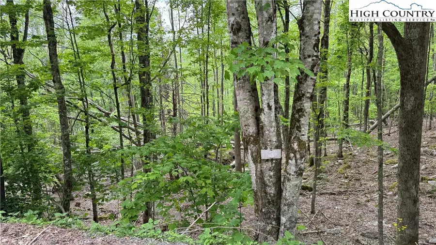 206 Wild Daisy Lane, Beech Mountain, NC 28604 - #3