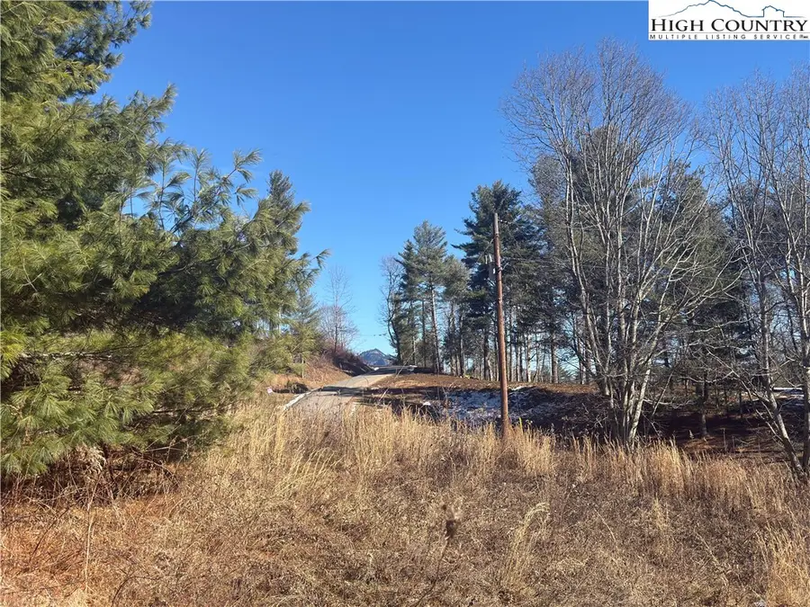 TBD Linhigh Drive, Newland, NC 28657 - Image #3