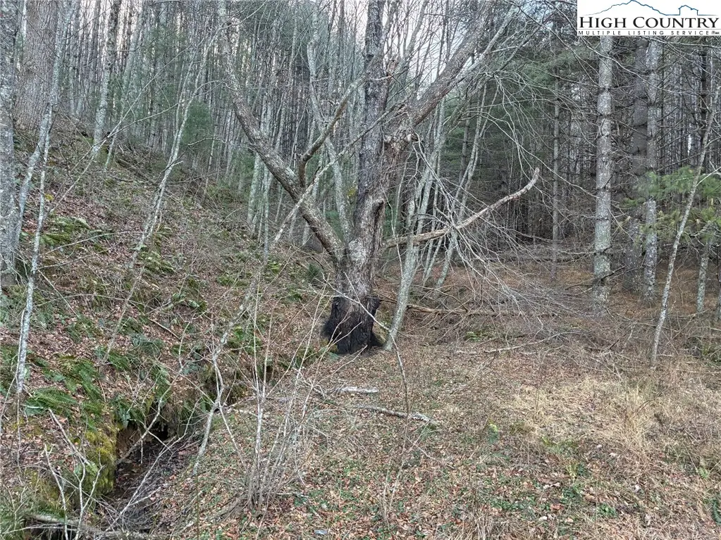 TBD Old Highway 16 Highway, Grassy Creek, NC 28631 - Image #1