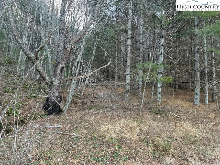 TBD Old Highway 16 Highway, Grassy Creek, NC 28631 - Image #2