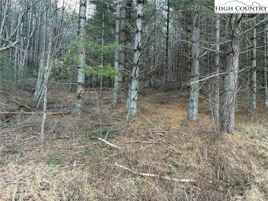 TBD Old Highway 16 Highway, Grassy Creek, NC 28631 - Image #3