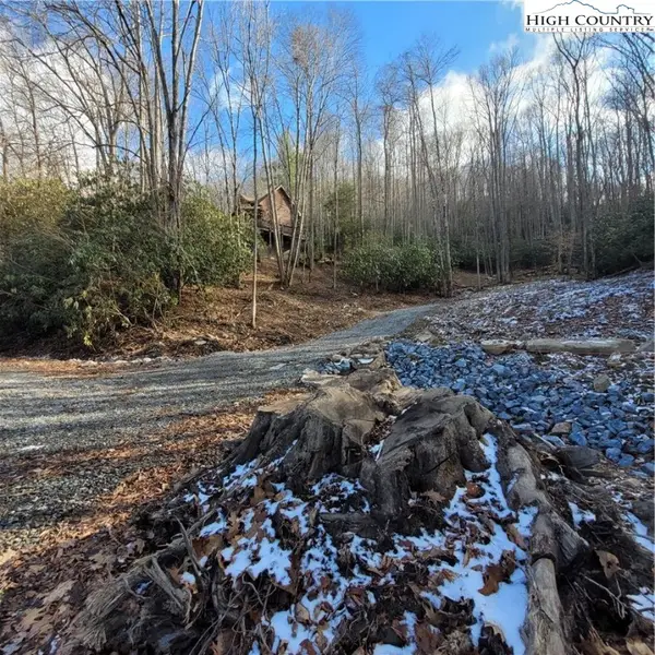 1463 Pine Ridge Road, Beech Mountain, NC 28604