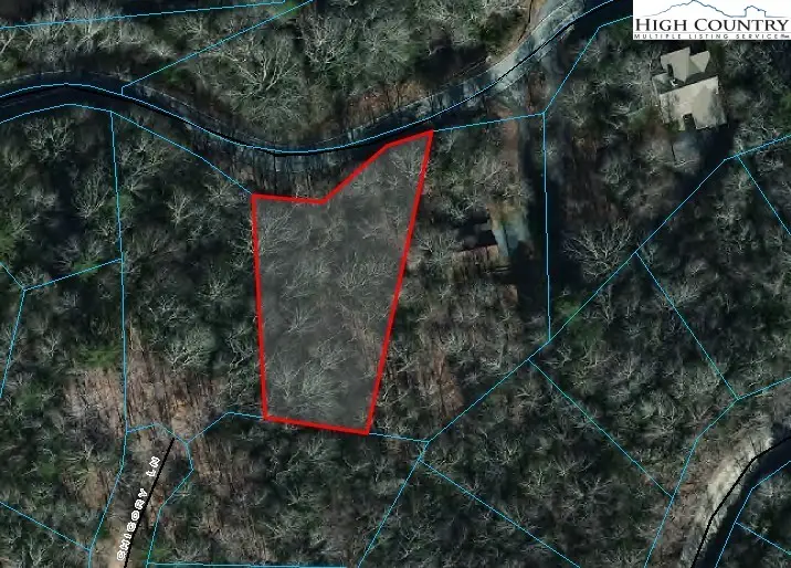 1463 Pine Ridge Road, Beech Mountain, NC 28604 - Image #2