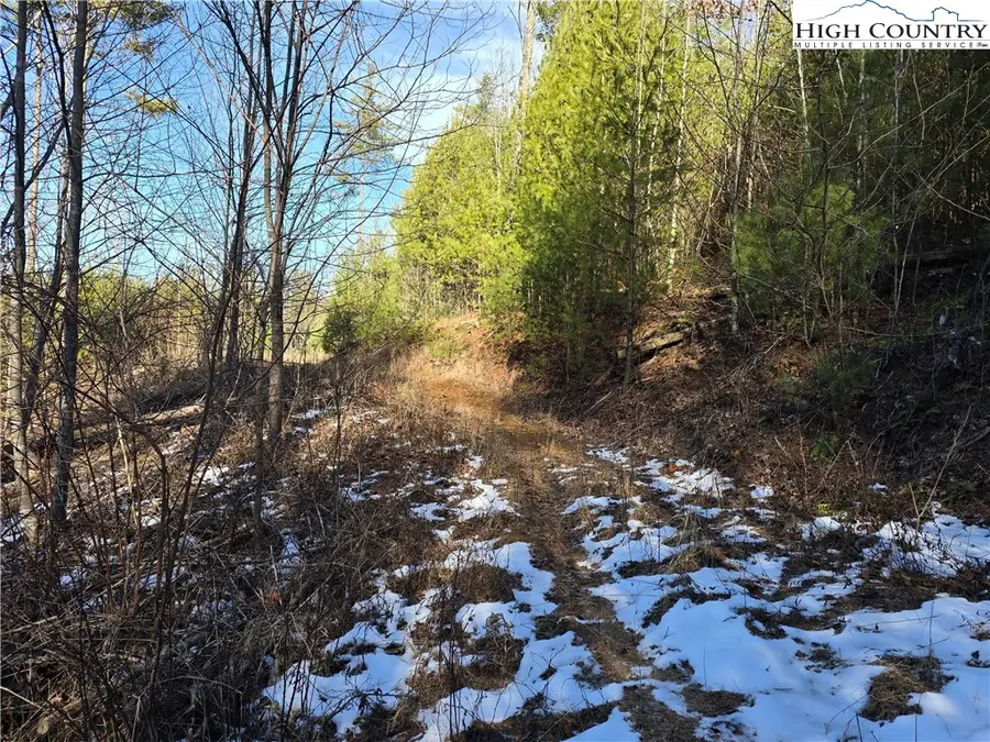 TBD Sawyers Road, Warrensville, NC 28693 - Image #3