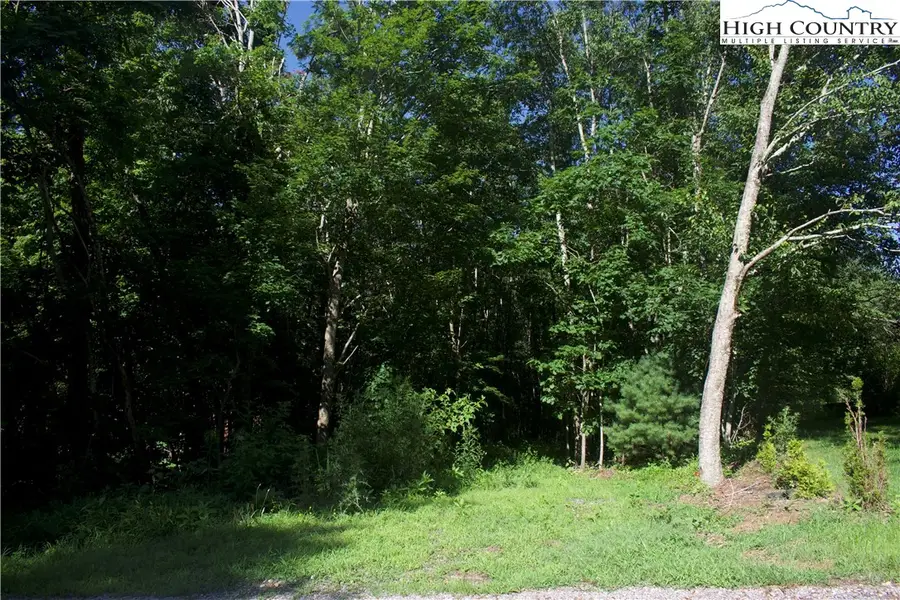 Lot 2B Whispering Pines Road, Boone, NC 28607 - Image #2