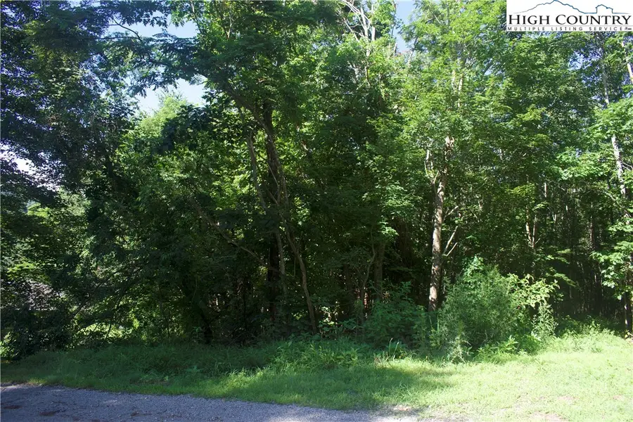 Lot 2B Whispering Pines Road, Boone, NC 28607 - Image #3