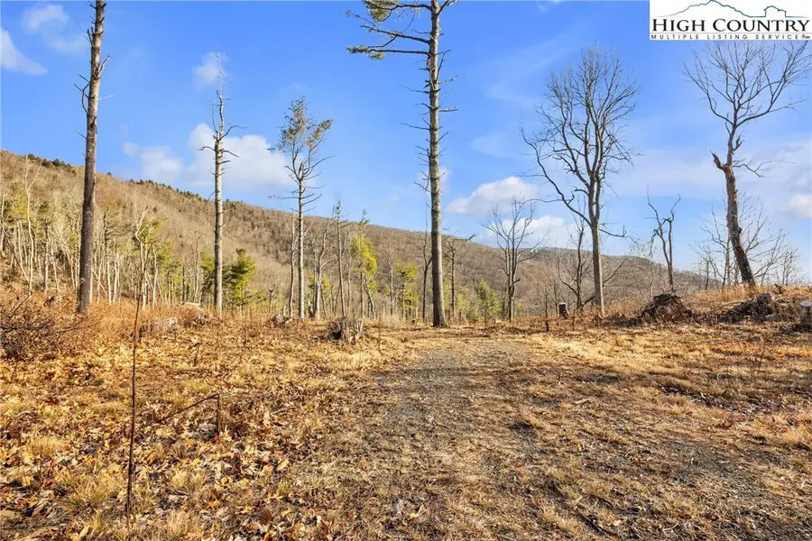 TBD Johnson Hollow Road, Jefferson, NC 28640 - Image #2
