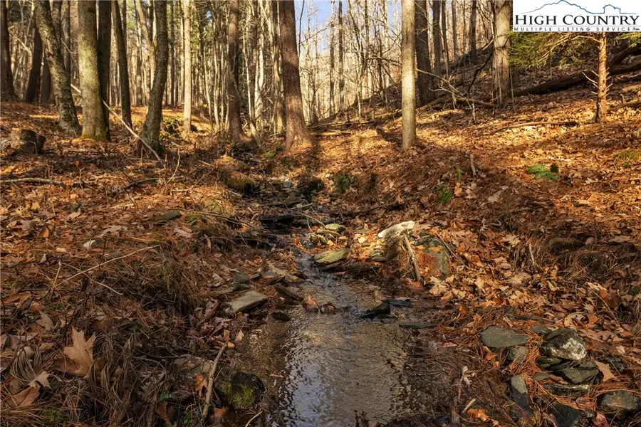 TBD Johnson Hollow Road, Jefferson, NC 28640 - Image #3