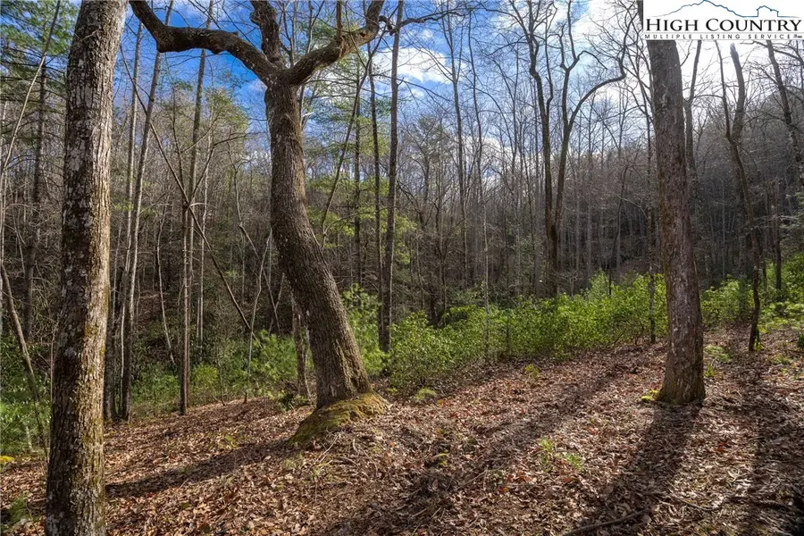 180 Marigold Road, Boone, NC 28607 - #3