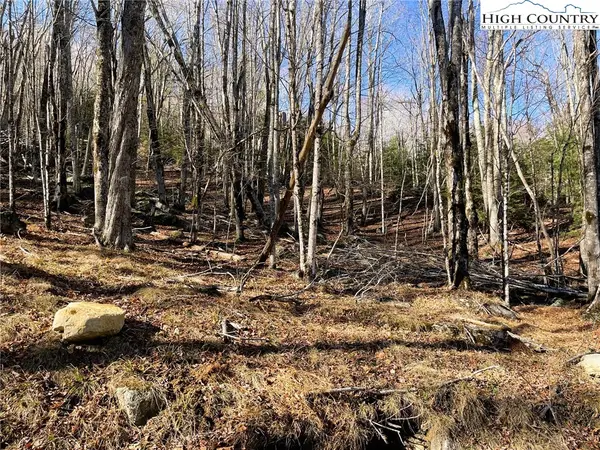 135 Lakeledge Circle, Beech Mountain, NC 28604