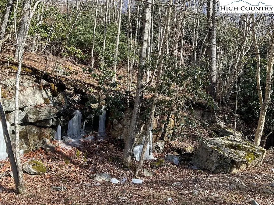 117 Smoketree Road, Beech Mountain, NC 28604 - Image #2