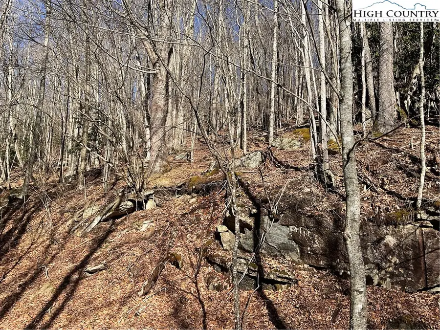 117 Smoketree Road, Beech Mountain, NC 28604 - Image #3