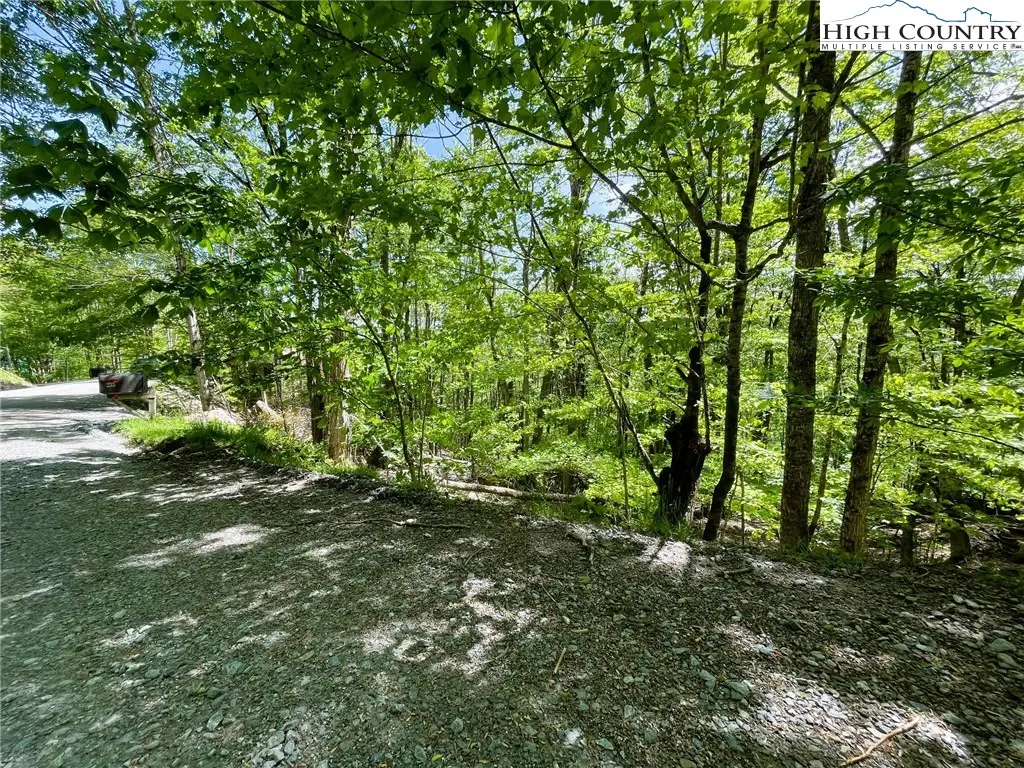 236 Lakeledge Road, Beech Mountain, NC 28604 - Image #1