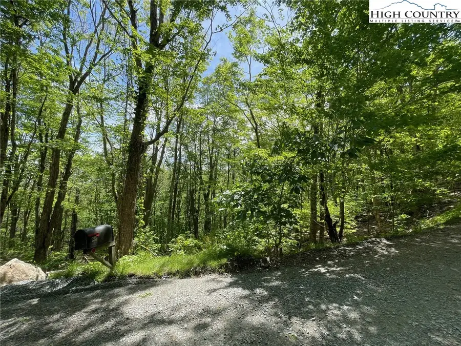 236 Lakeledge Road, Beech Mountain, NC 28604 - Image #3