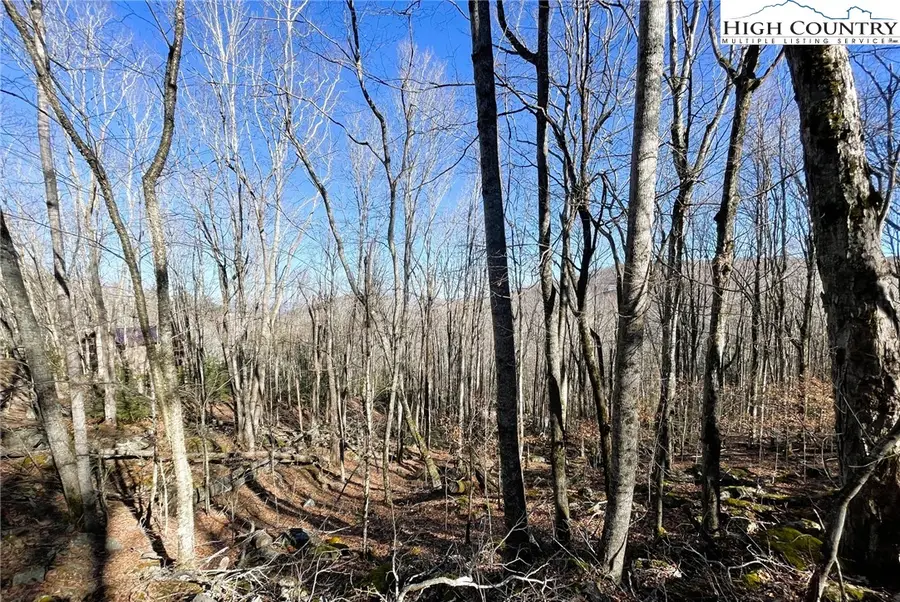 234 Lakeledge Road, Beech Mountain, NC 28604 - Image #2