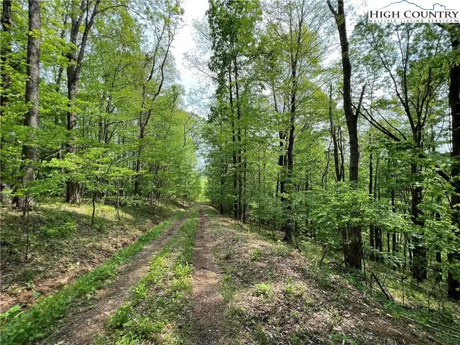 TBD Misty Mountain Road, Boone, NC 28607 - Image #2